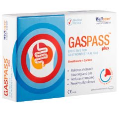 Wellcare Gaspass Plus 20 Tablet