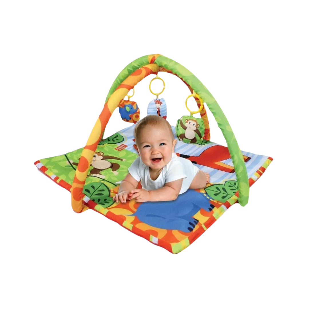 Mole Baby Oyuncaklı Aktivite ve Oyun Minderi