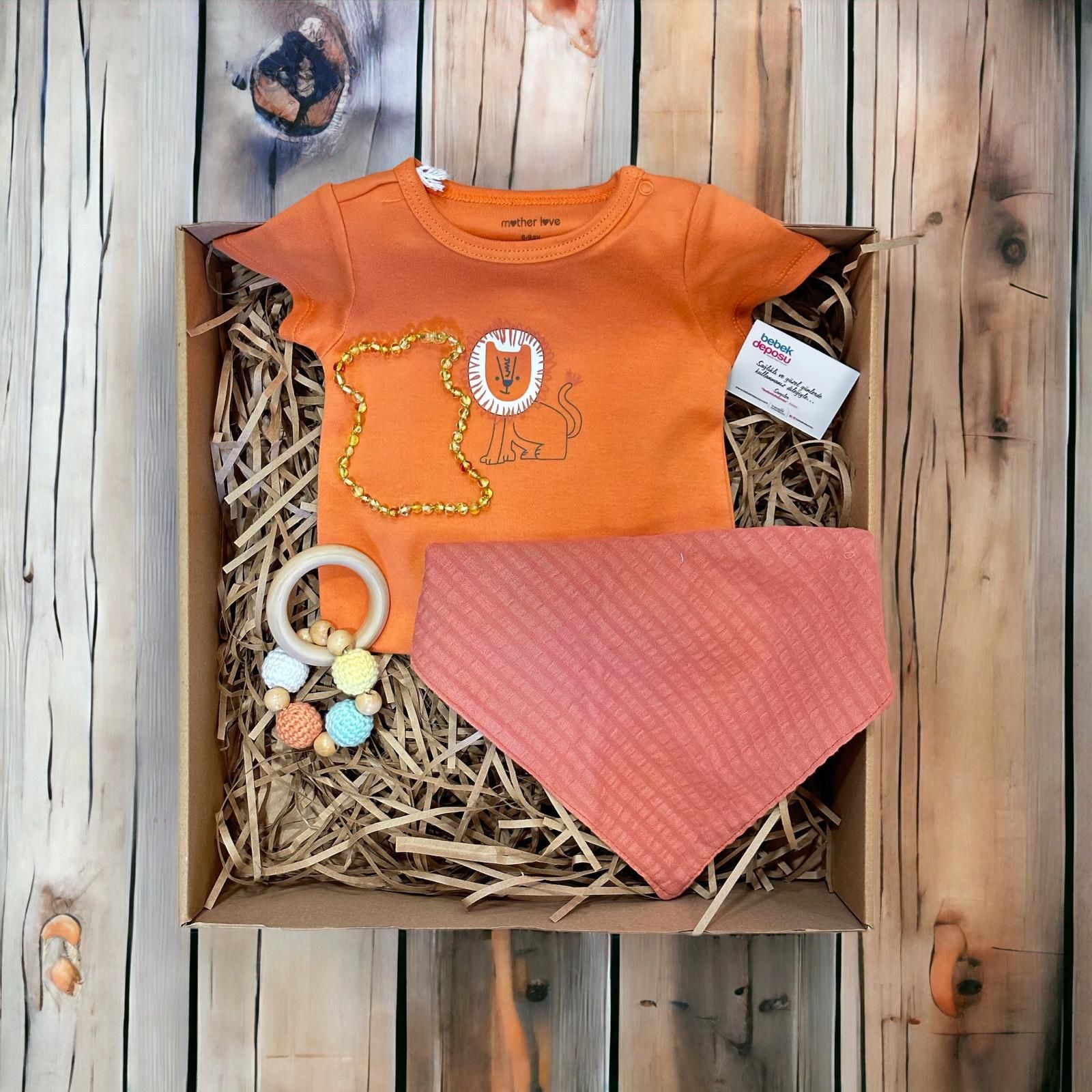 Bebek Kehribar Taşı Kolye ve Bebek Badiler ile Bebek Hediye Takımı Lion